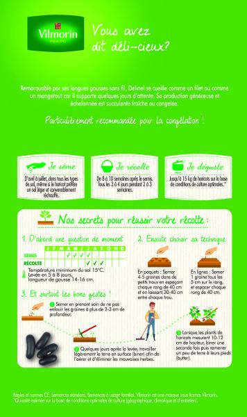 Légumes Secs - Haricot Nain Vert Delinel - MEDIA_PACKAGING_VERSO